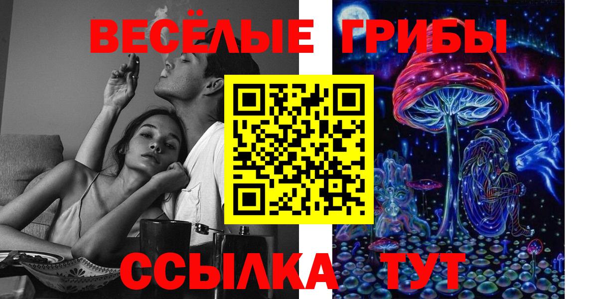 Псилоцибиновые грибы Psilocybine cubensis Михайловка