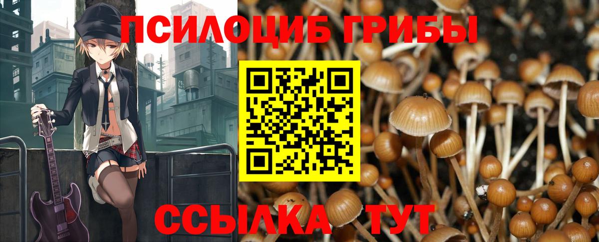 Псилоцибиновые грибы MAGIC MUSHROOMS  Вход с VPN  Михайловка 