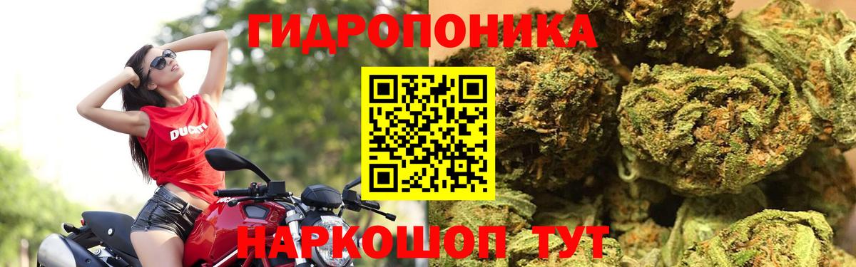 Cocaine Михайловка